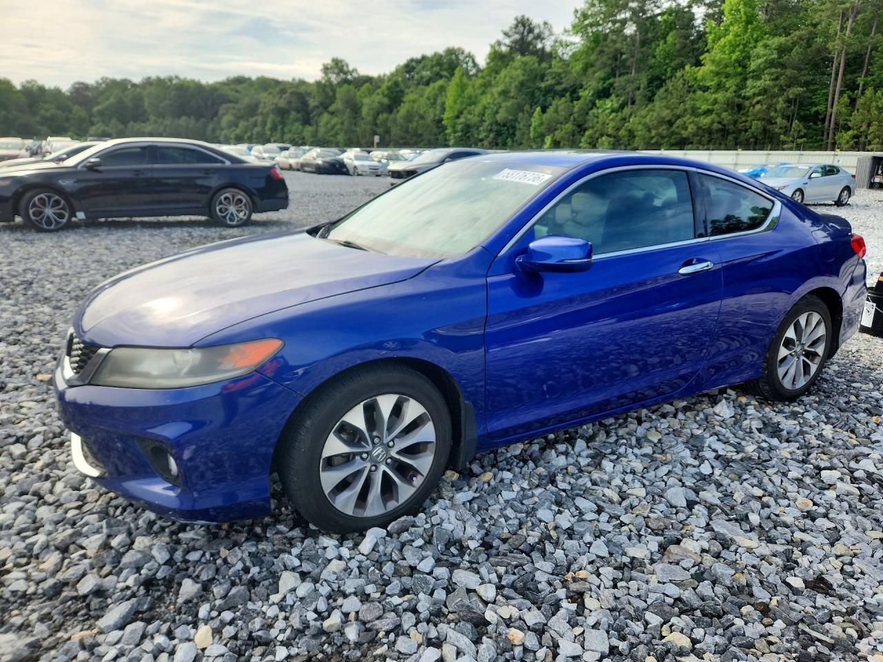 Salvage Honda Accord Image