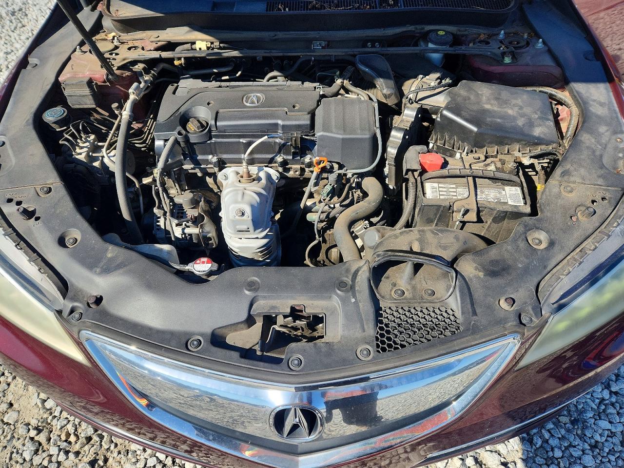 Acura TLX Tech
