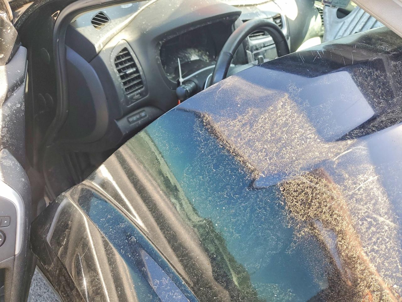 Nissan Altima 2.5 Sr