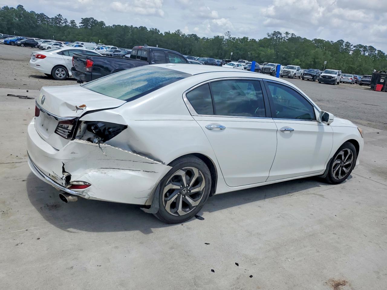 Honda Accord Exl
