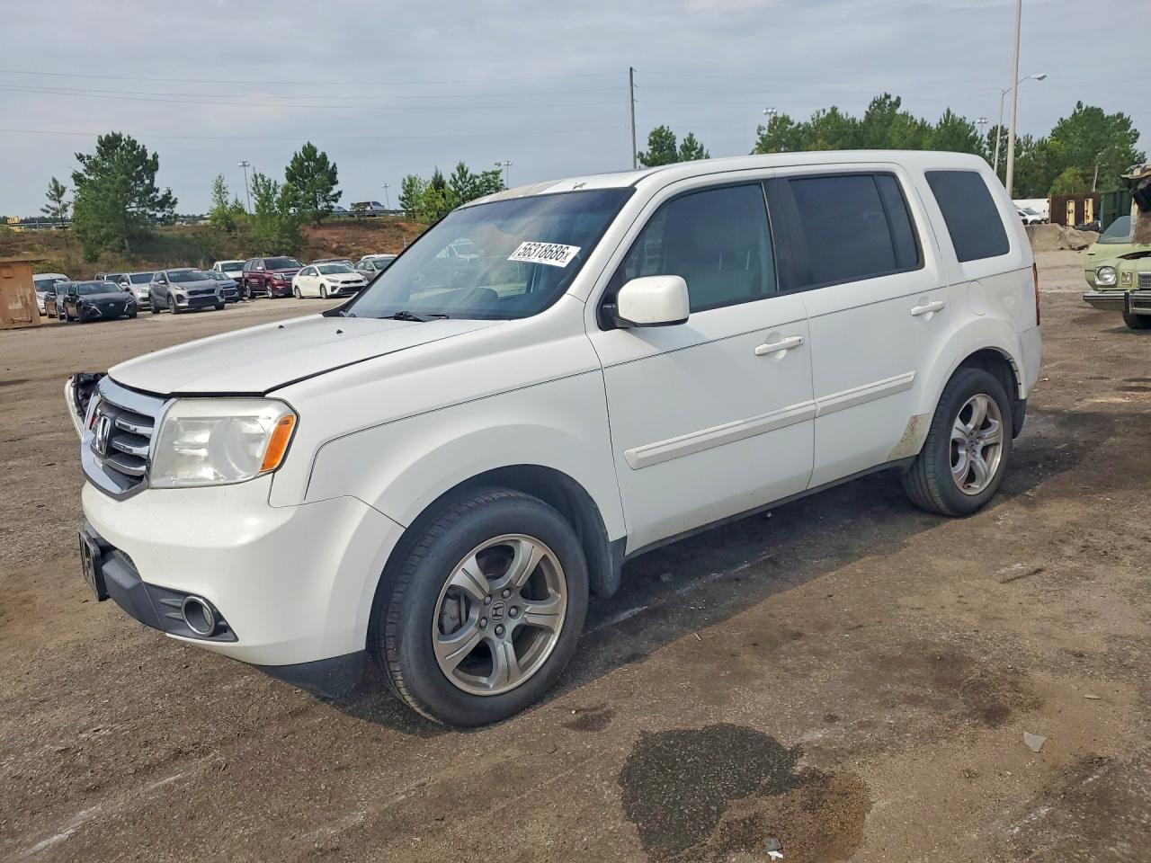 Salvage Honda Pilot Image