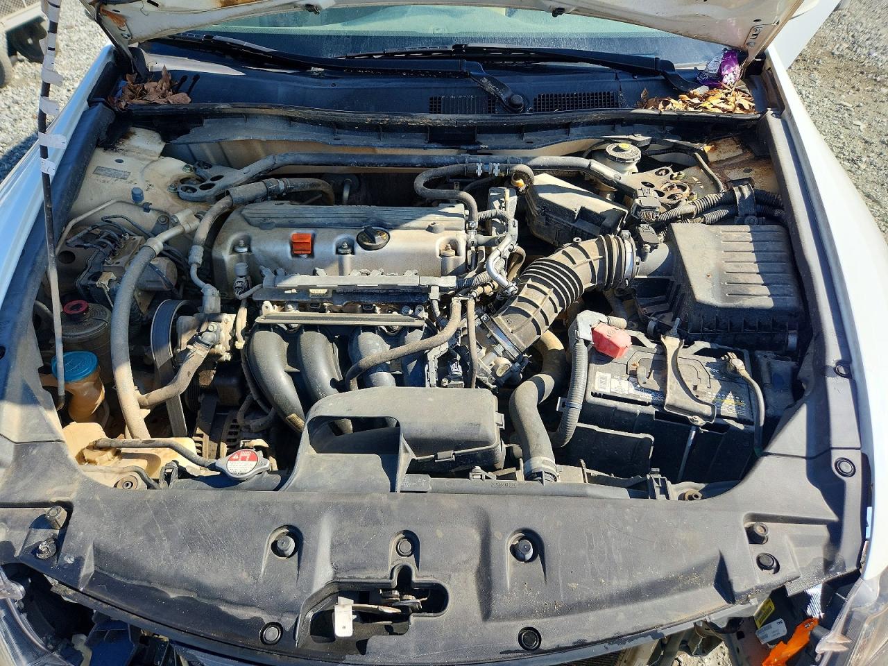 Honda Accord Ex
