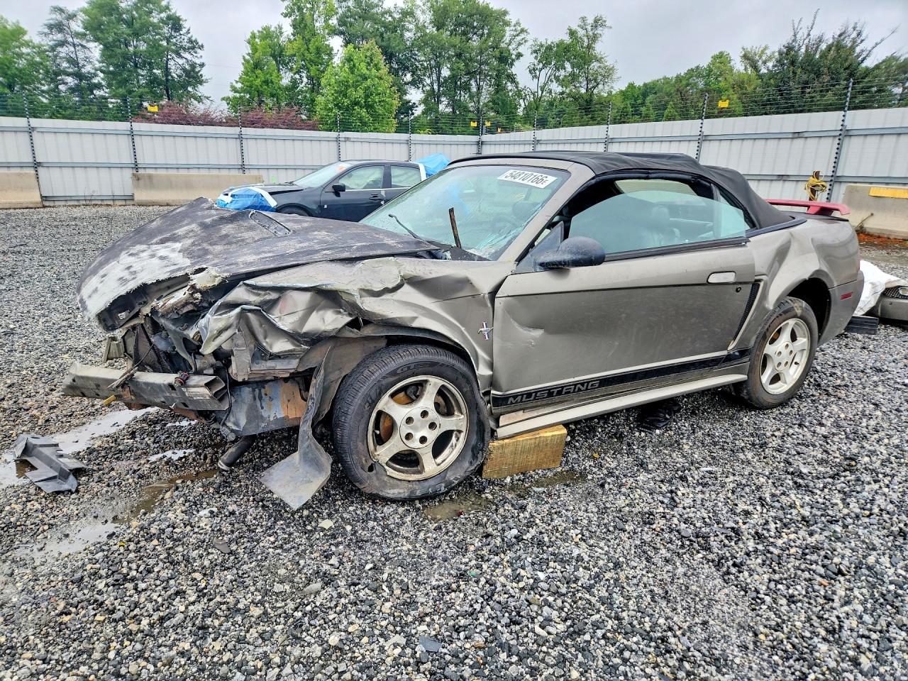 Salvage Ford Mustang Image
