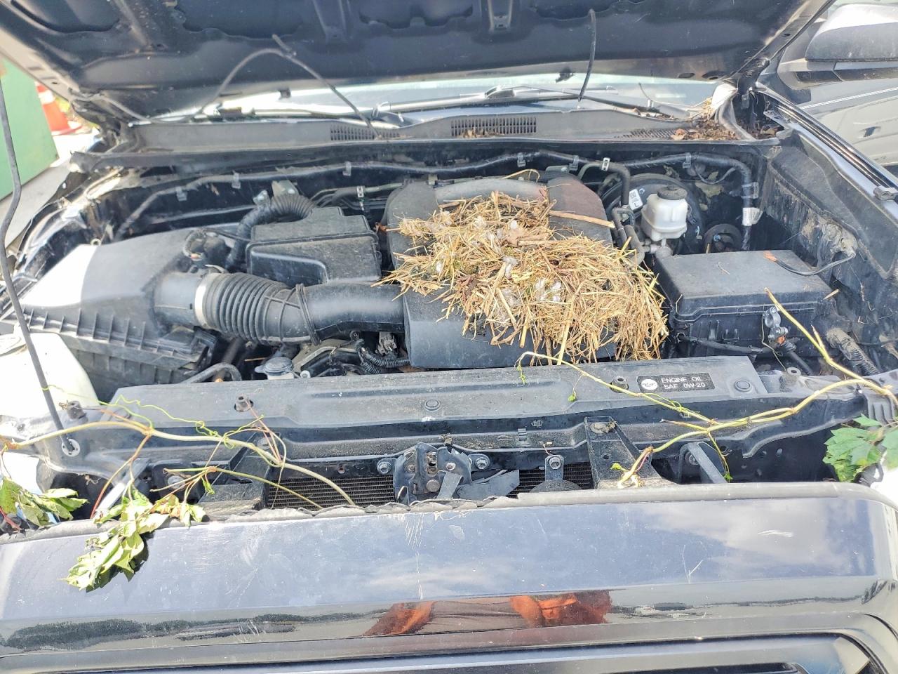 Toyota Tacoma Sr V6