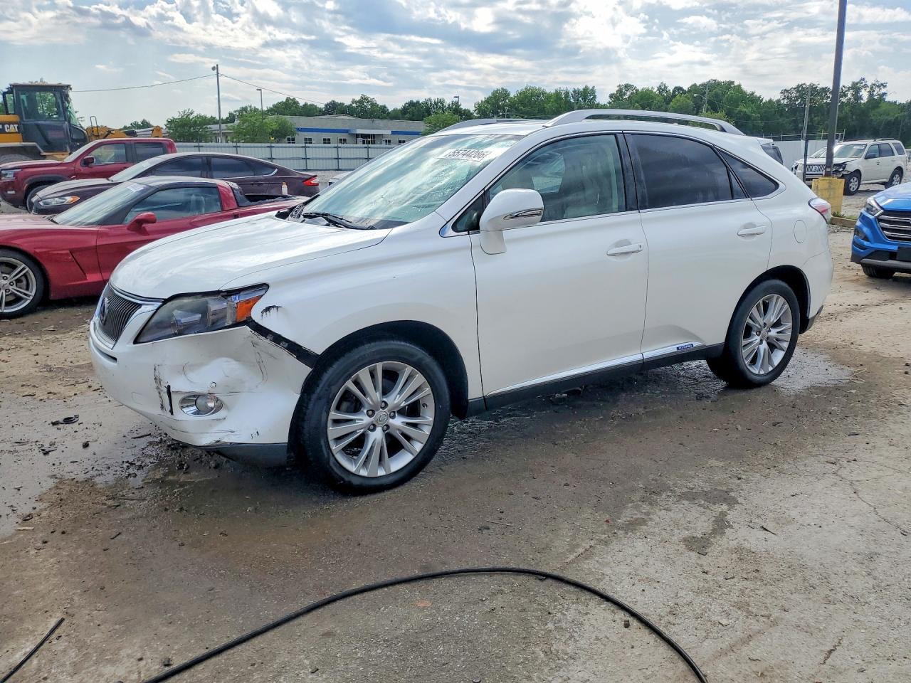 Salvage Lexus RX Image