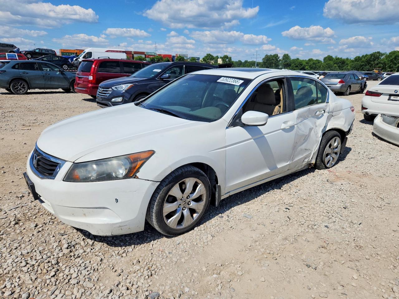Salvage Honda Accord Image