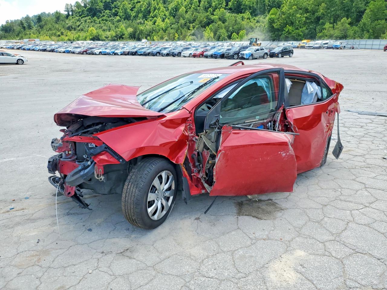 Salvage Toyota Corolla Image