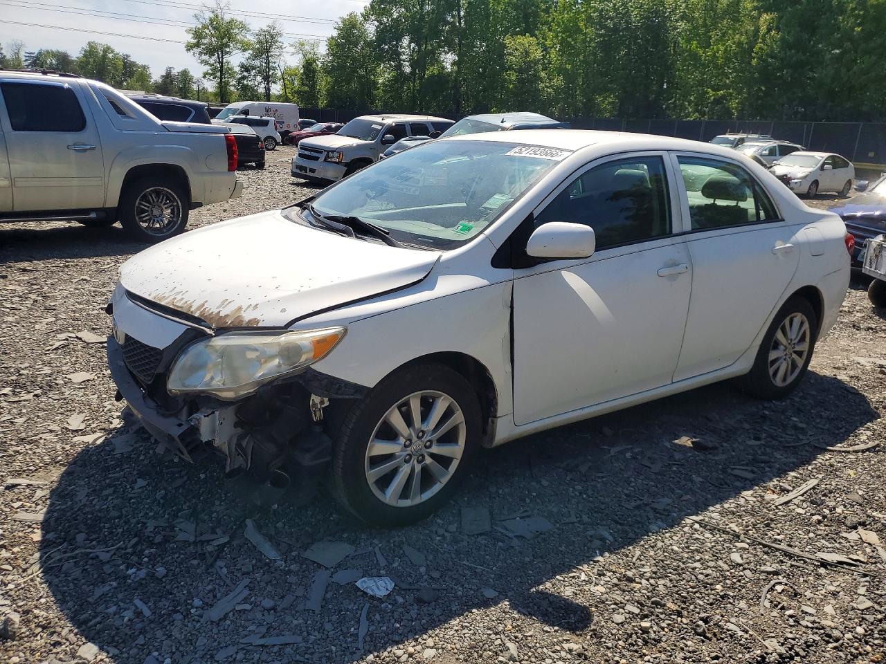 Salvage Toyota Corolla Image