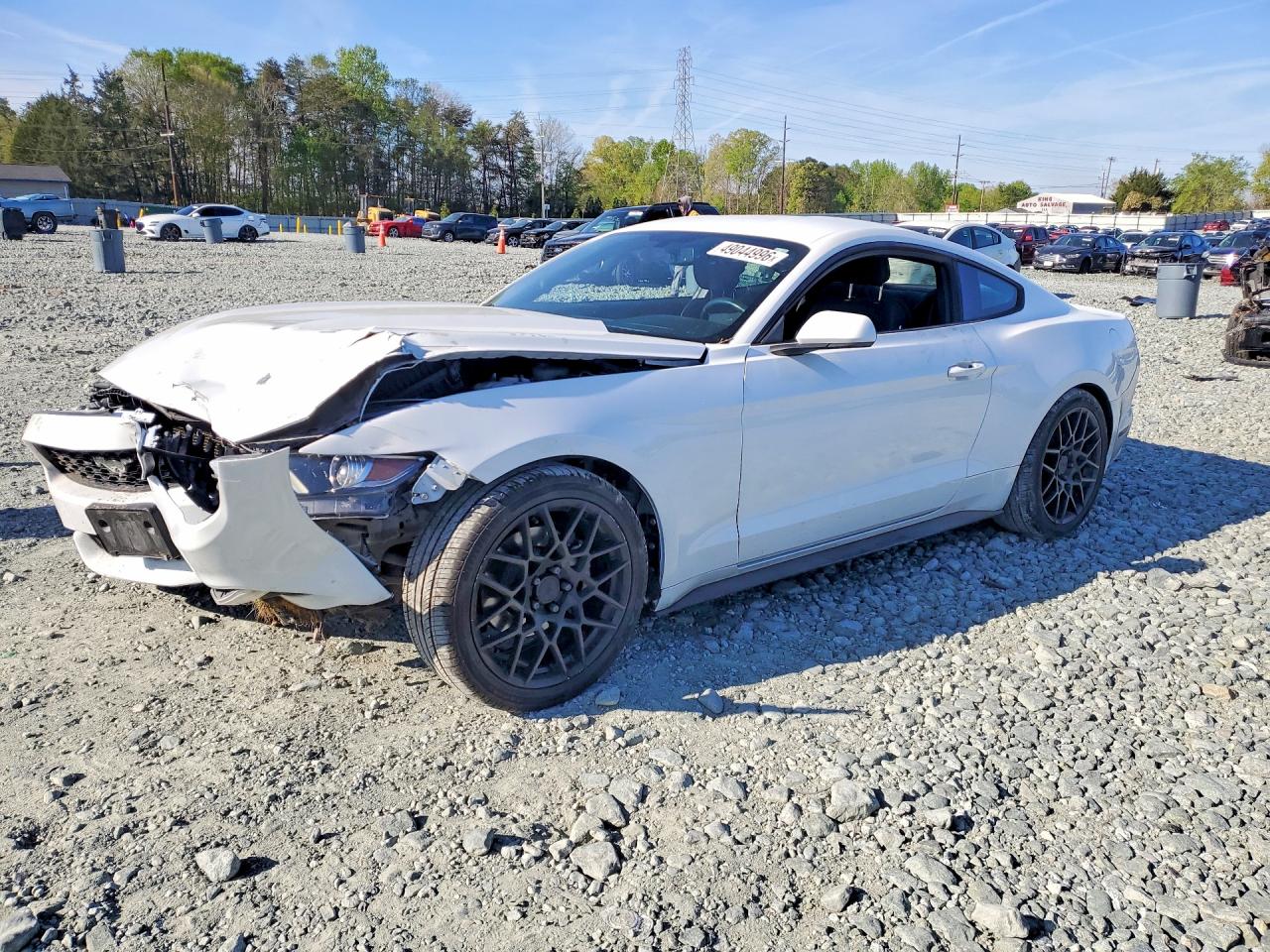 Salvage Ford Mustang Image