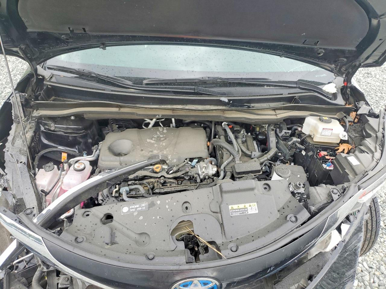 Toyota Sienna Xle 8-passenger