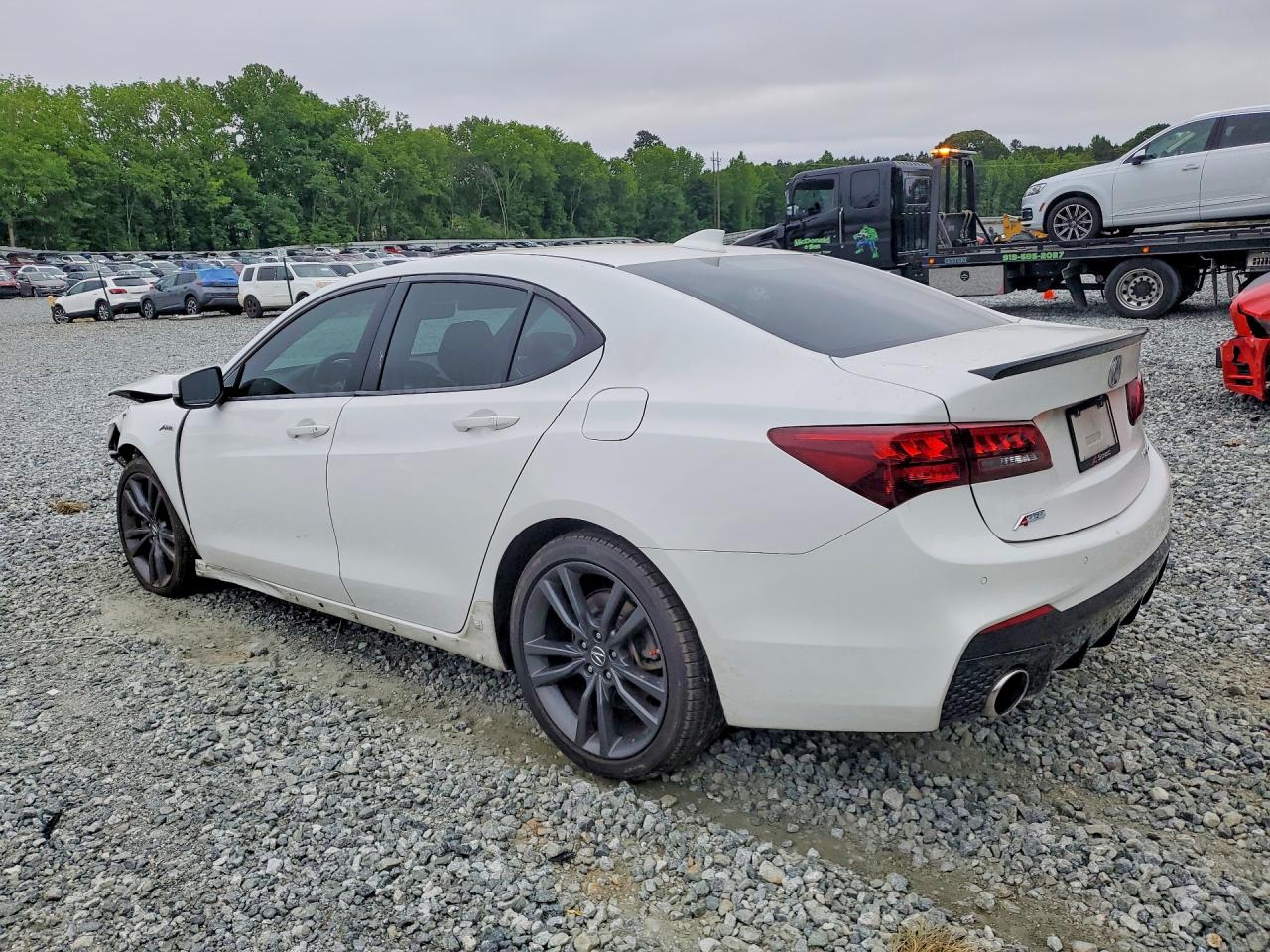 Acura TLX Tech+a