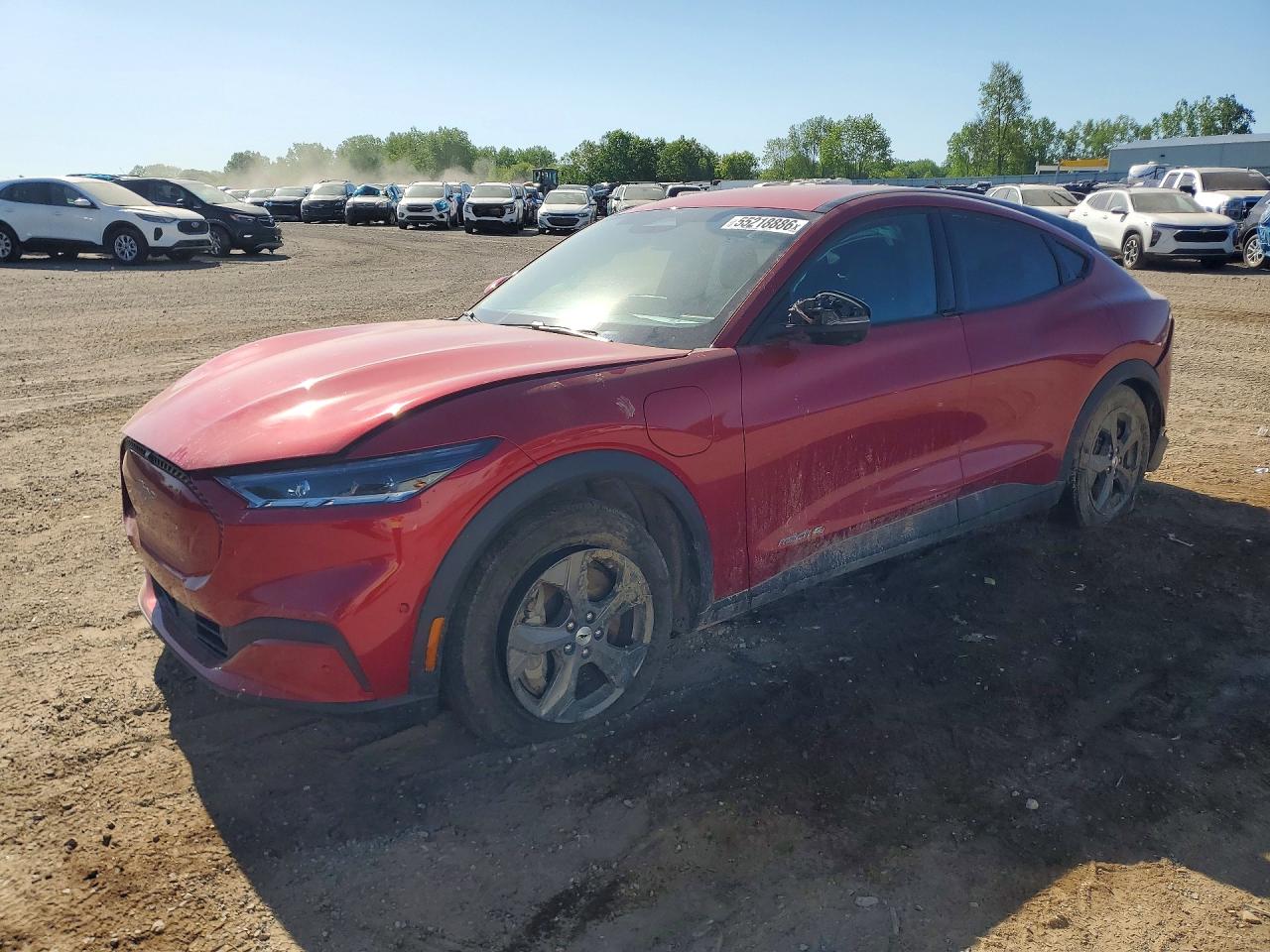 Salvage Ford Mustang Image