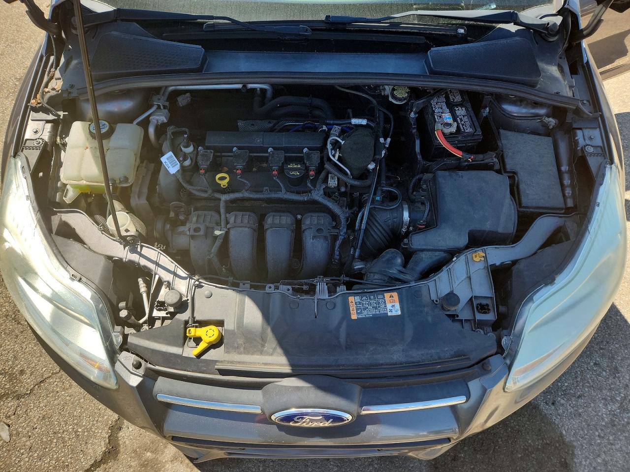 Ford Focus Se