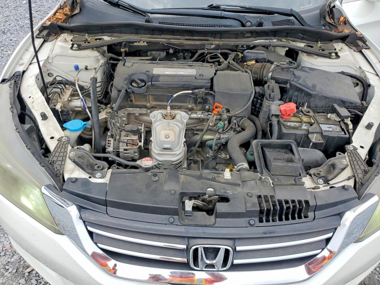 Honda Accord Exl