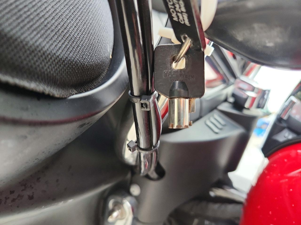Harley-Davidson Fl