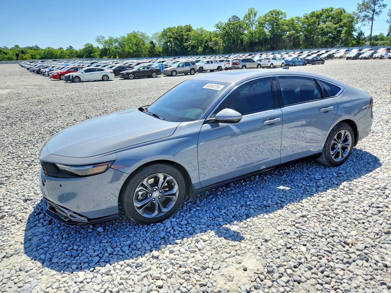 Salvage Honda Accord Image