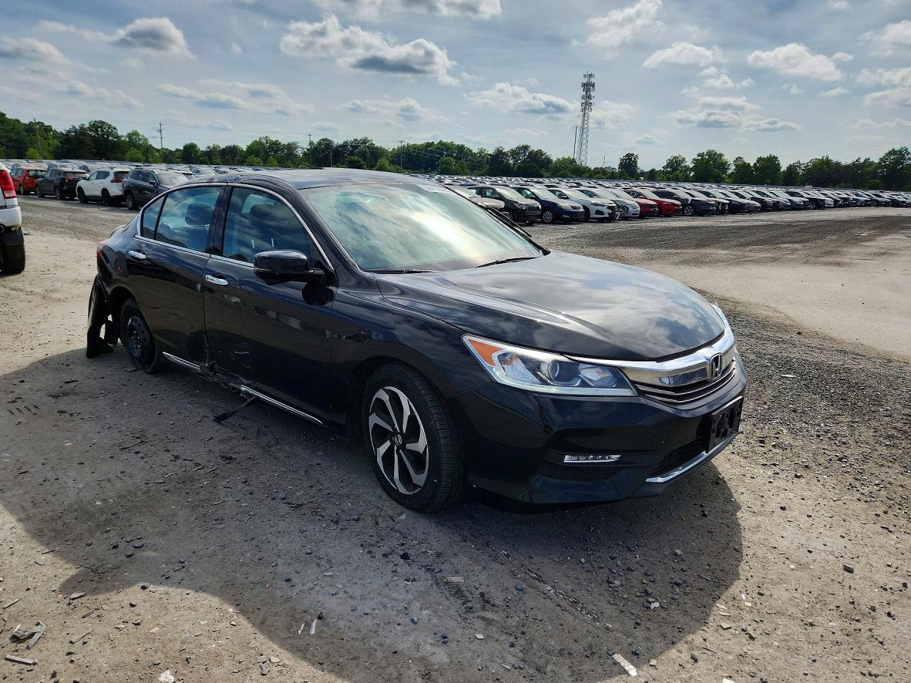 Honda Accord Exl