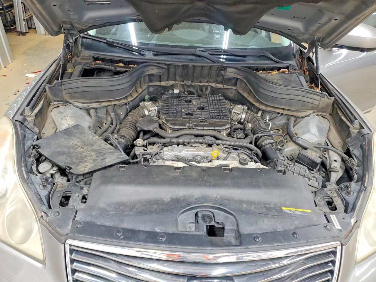 Infi EX35