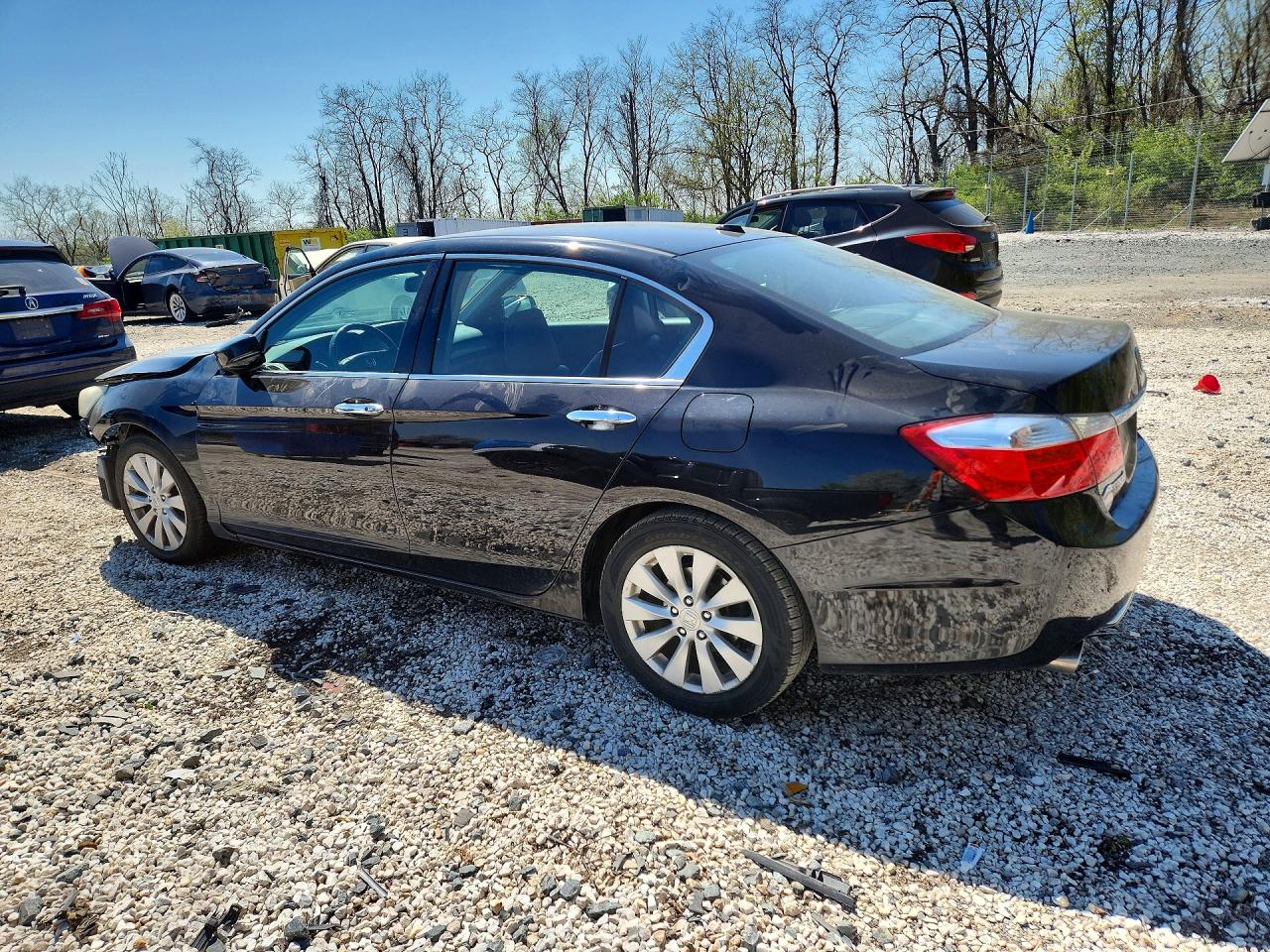 Honda Accord Exl