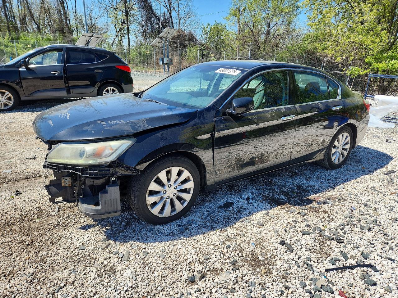 Salvage Honda Accord Image
