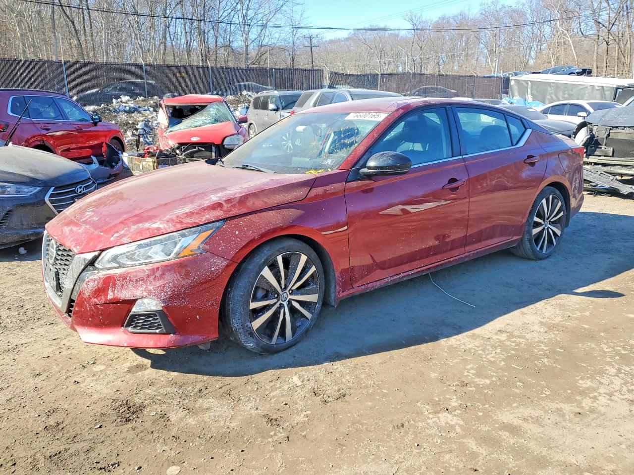 Salvage Nissan Altima Image
