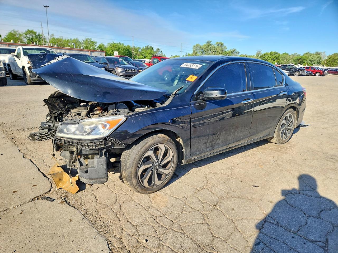 Salvage Honda Accord Image