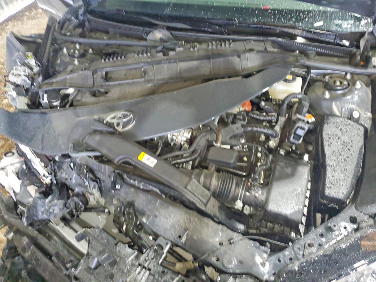 Toyota Camry Xle