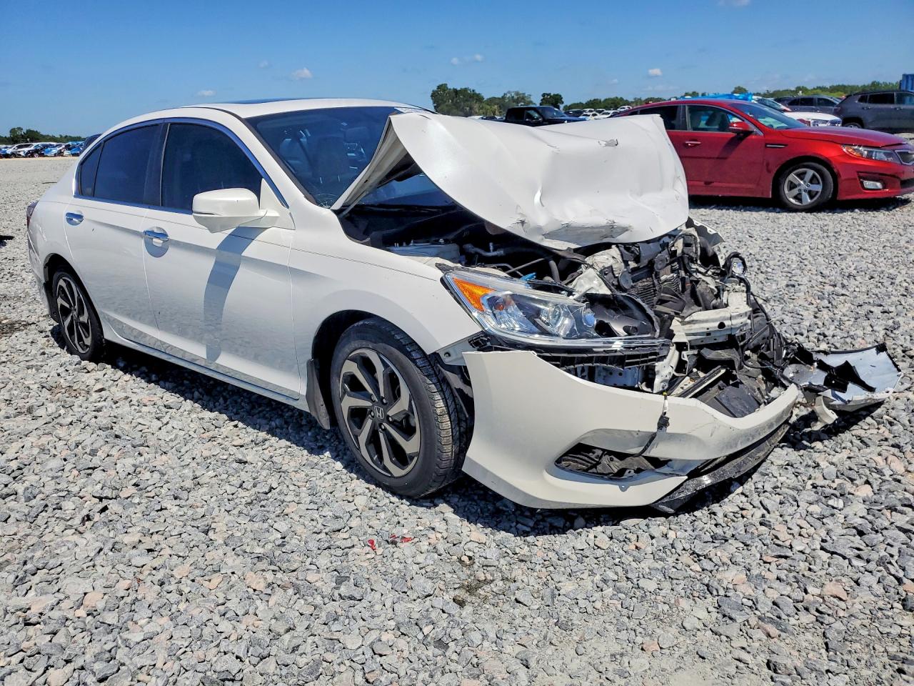 Honda Accord Exl