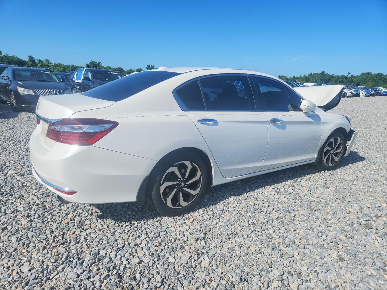Honda Accord Exl