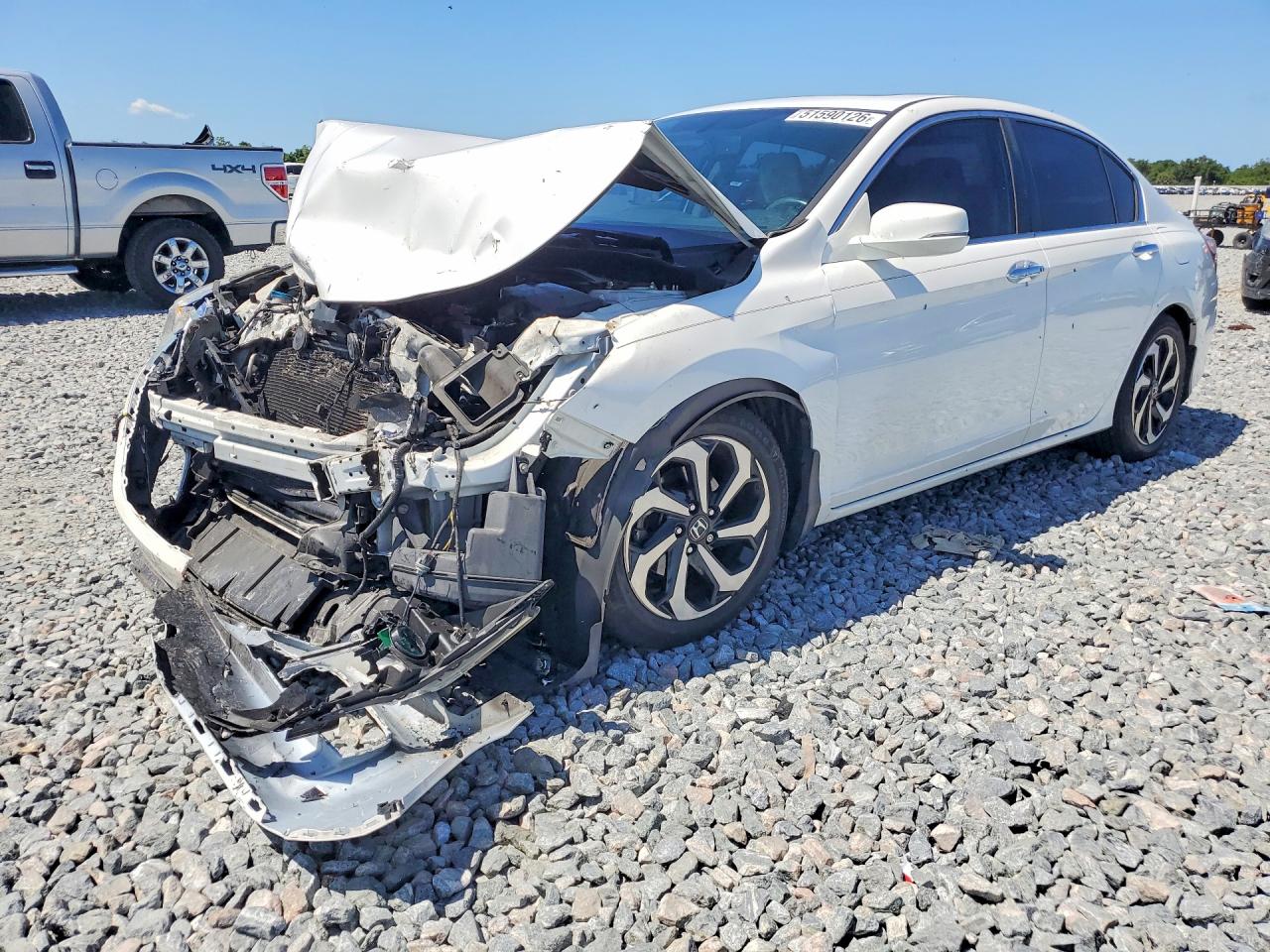 Salvage Honda Accord Image