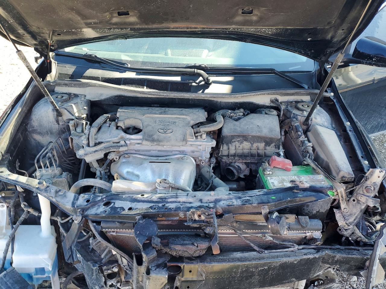 Toyota Camry Xle