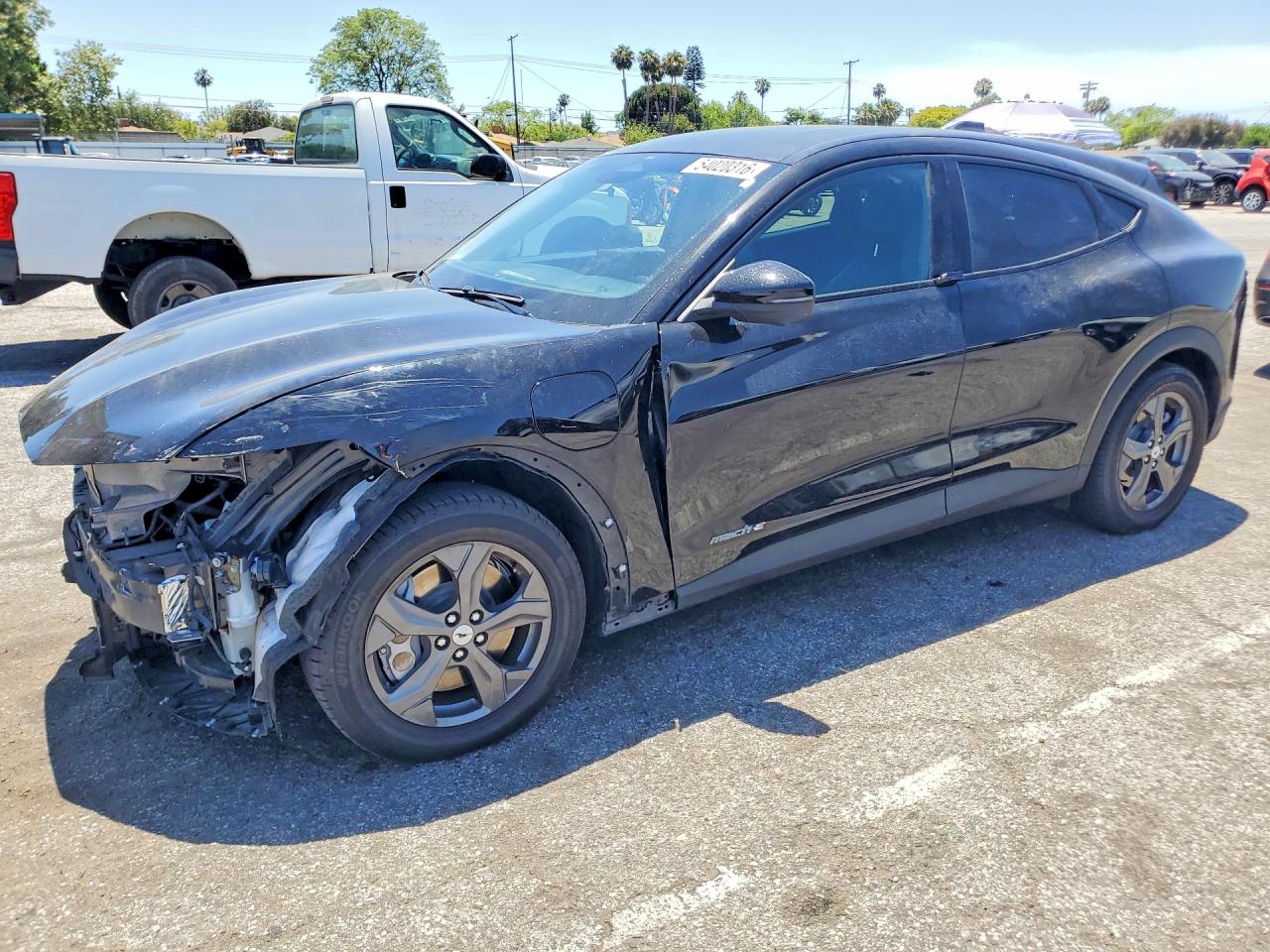 Salvage Ford Mustang Image