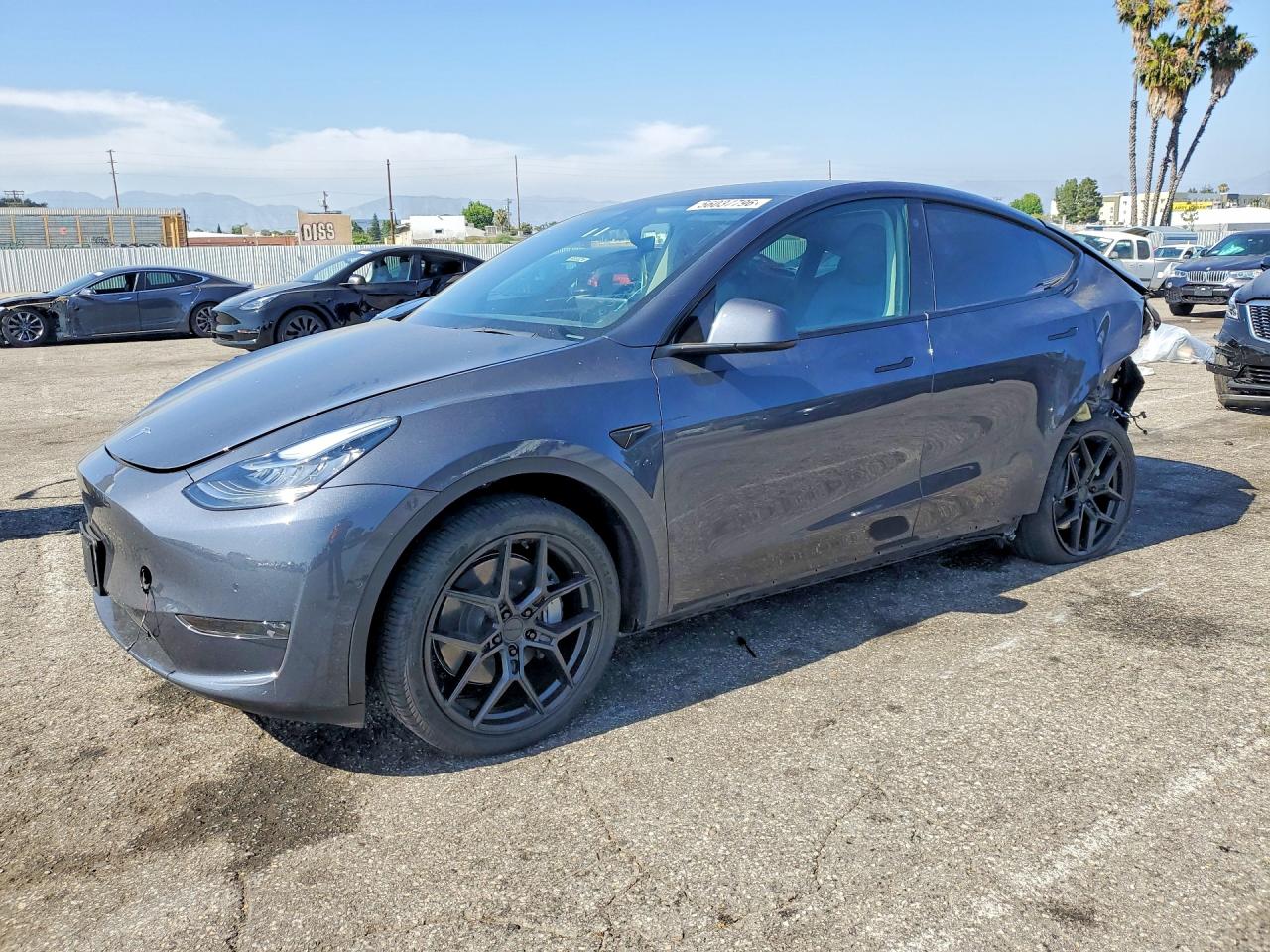 Salvage Tesla Model Y Image
