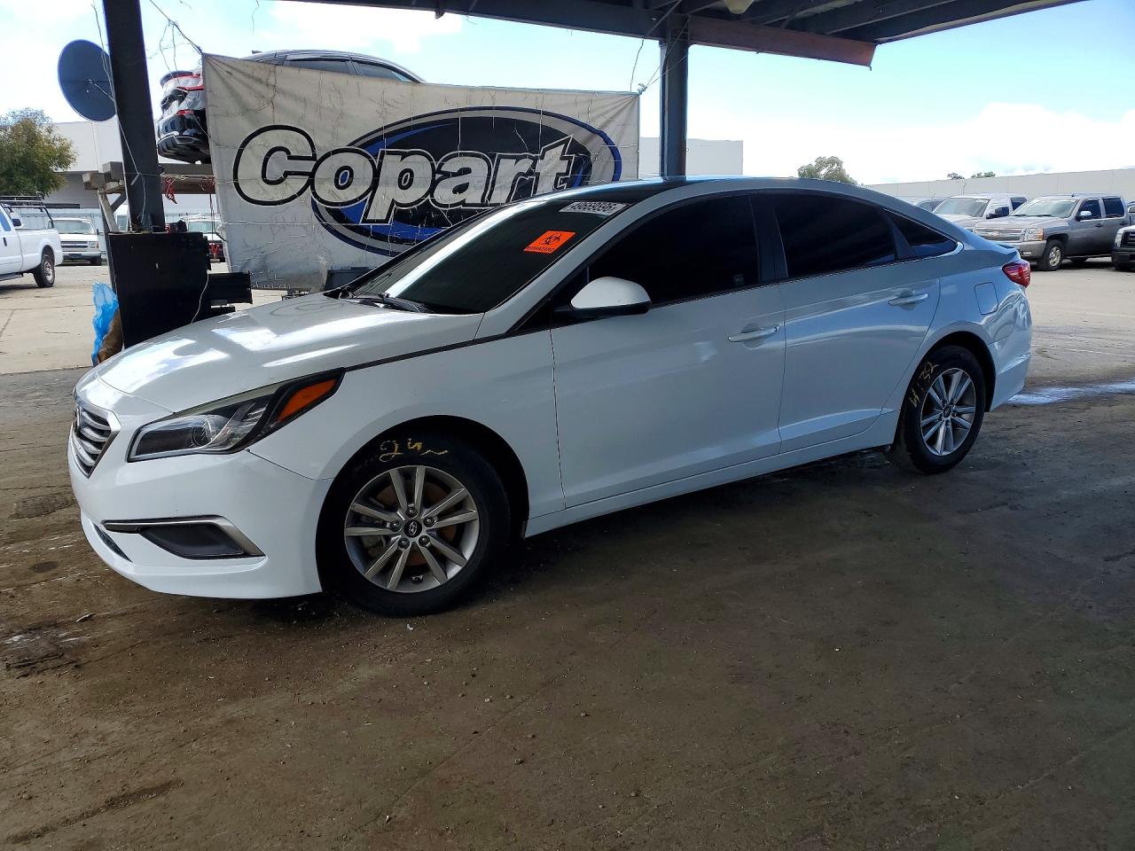 Salvage Hyundai SONATA Image