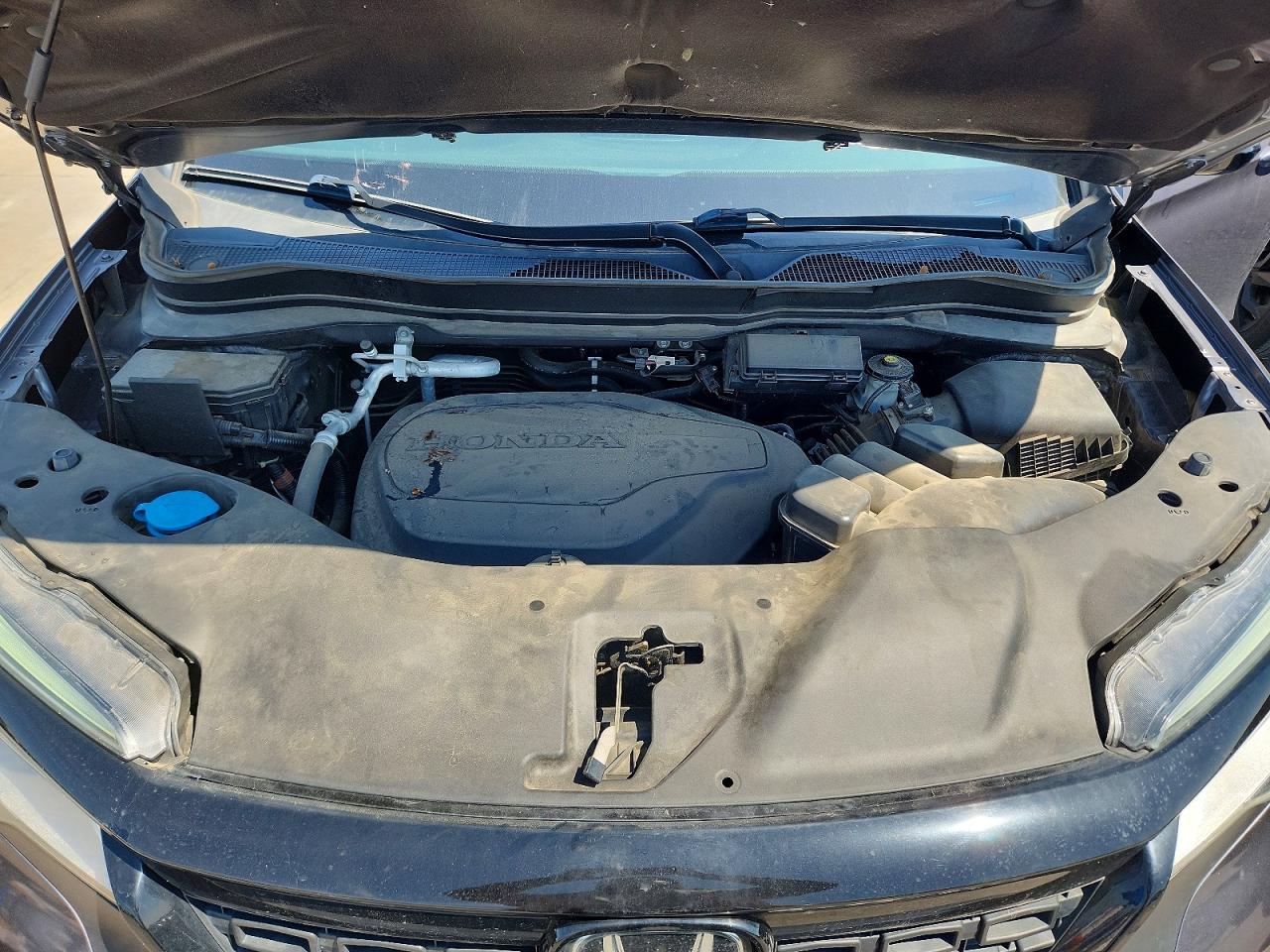 Honda Passport Elite