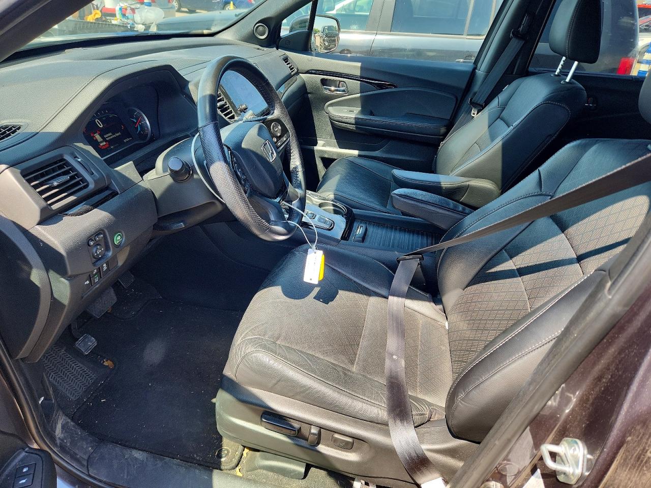 Honda Passport Elite