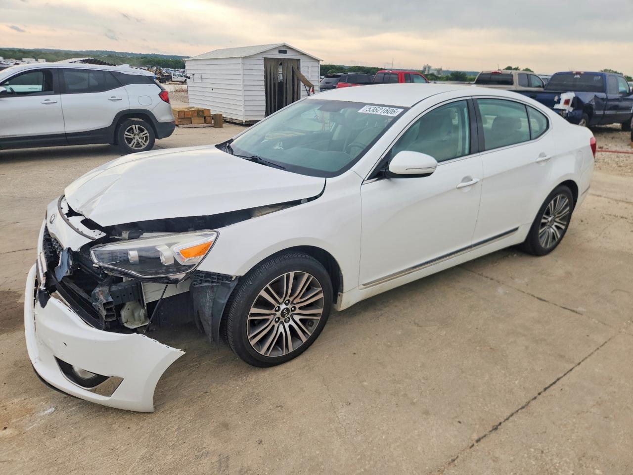 Salvage Kia Cadenza Image