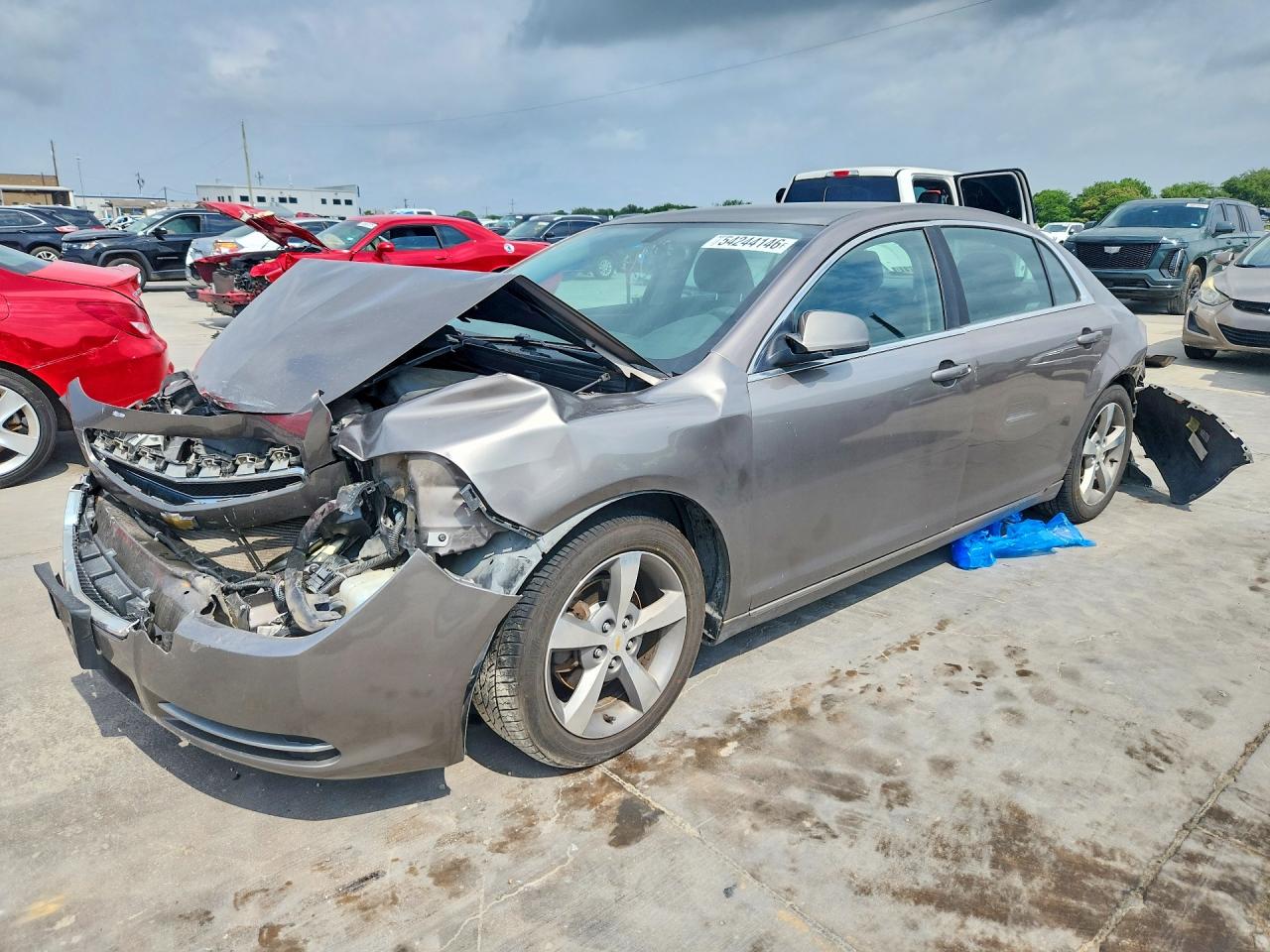 Salvage Chevrolet Malibu Image