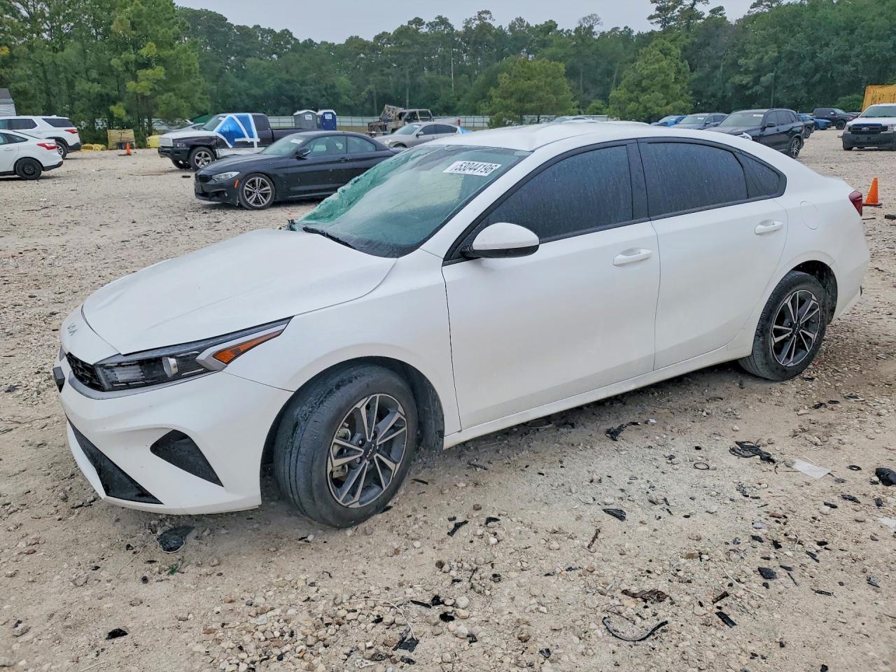 Salvage Kia Forte Image