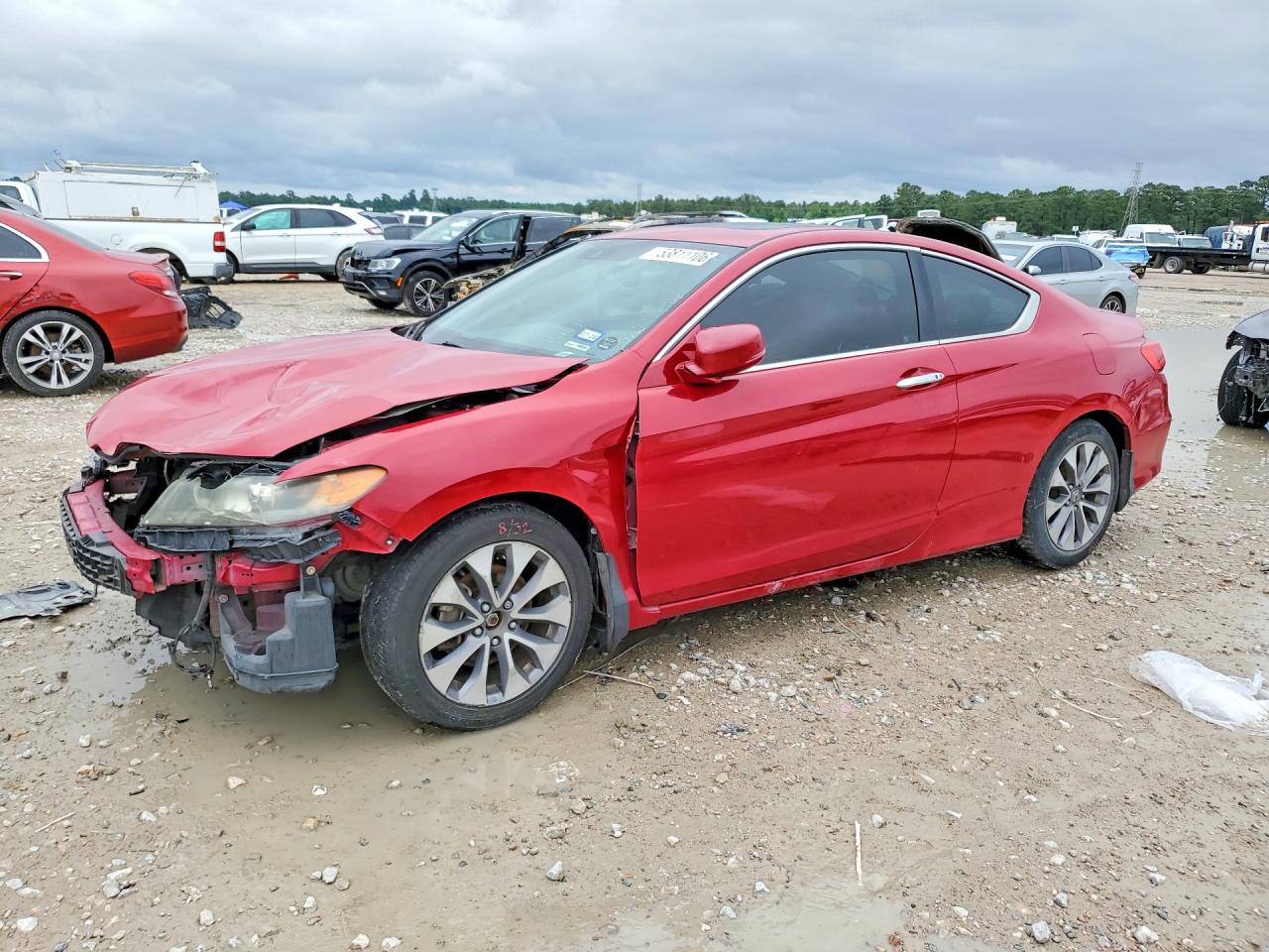 Salvage Honda Accord Image