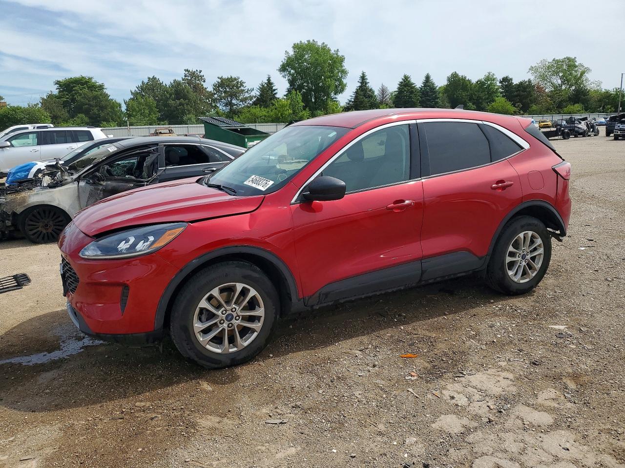 Salvage Ford Escape Image
