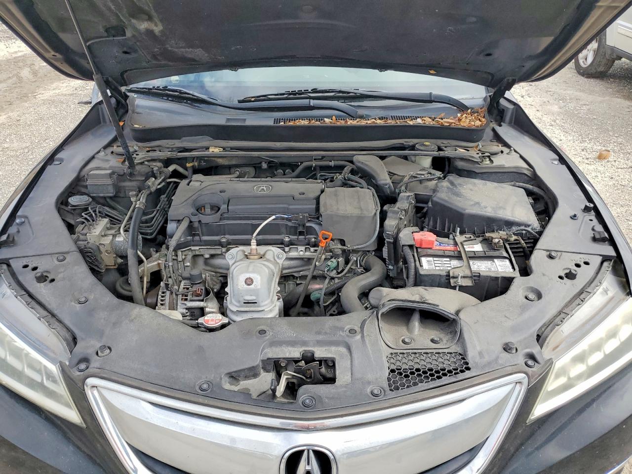 Acura TLX
