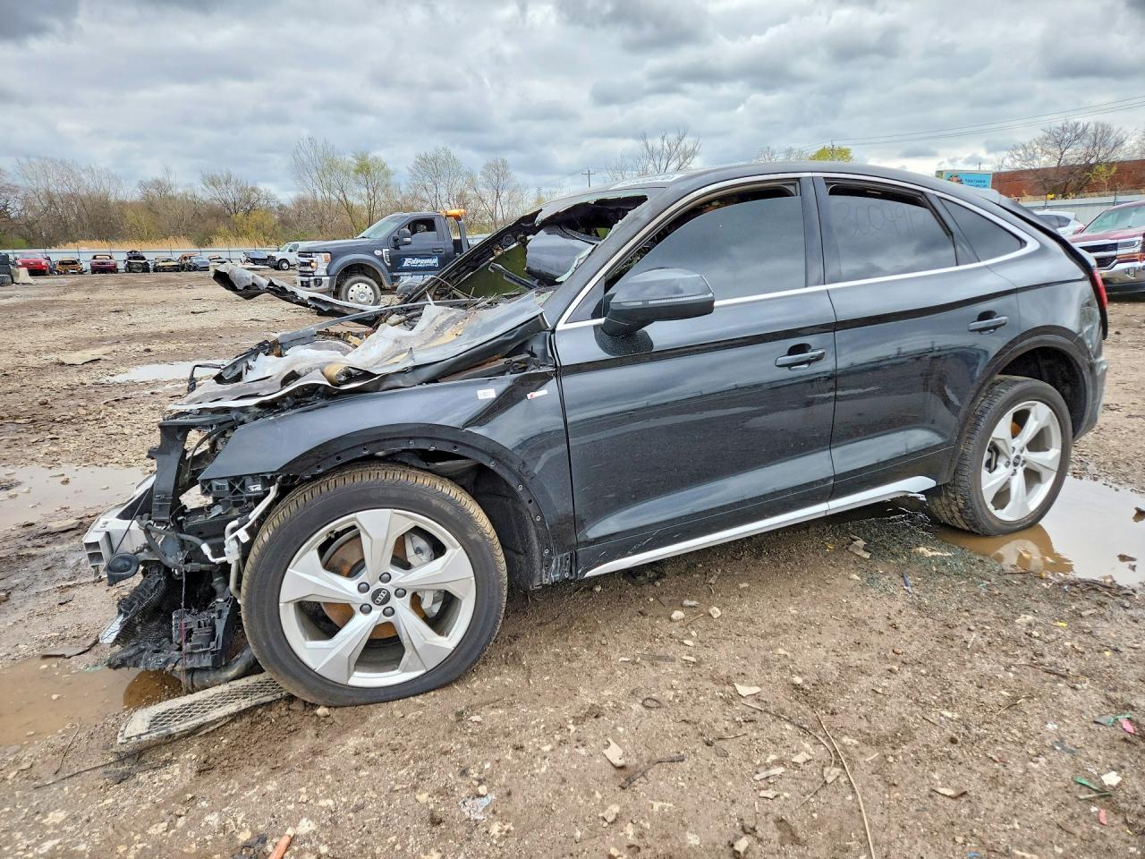 Salvage Audi Q5 Image