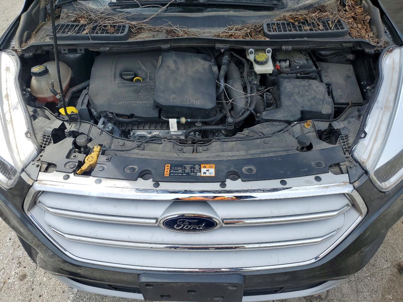 Ford Escape Se