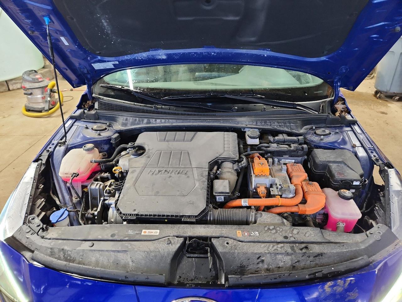 Hyundai ELANTRA Blue