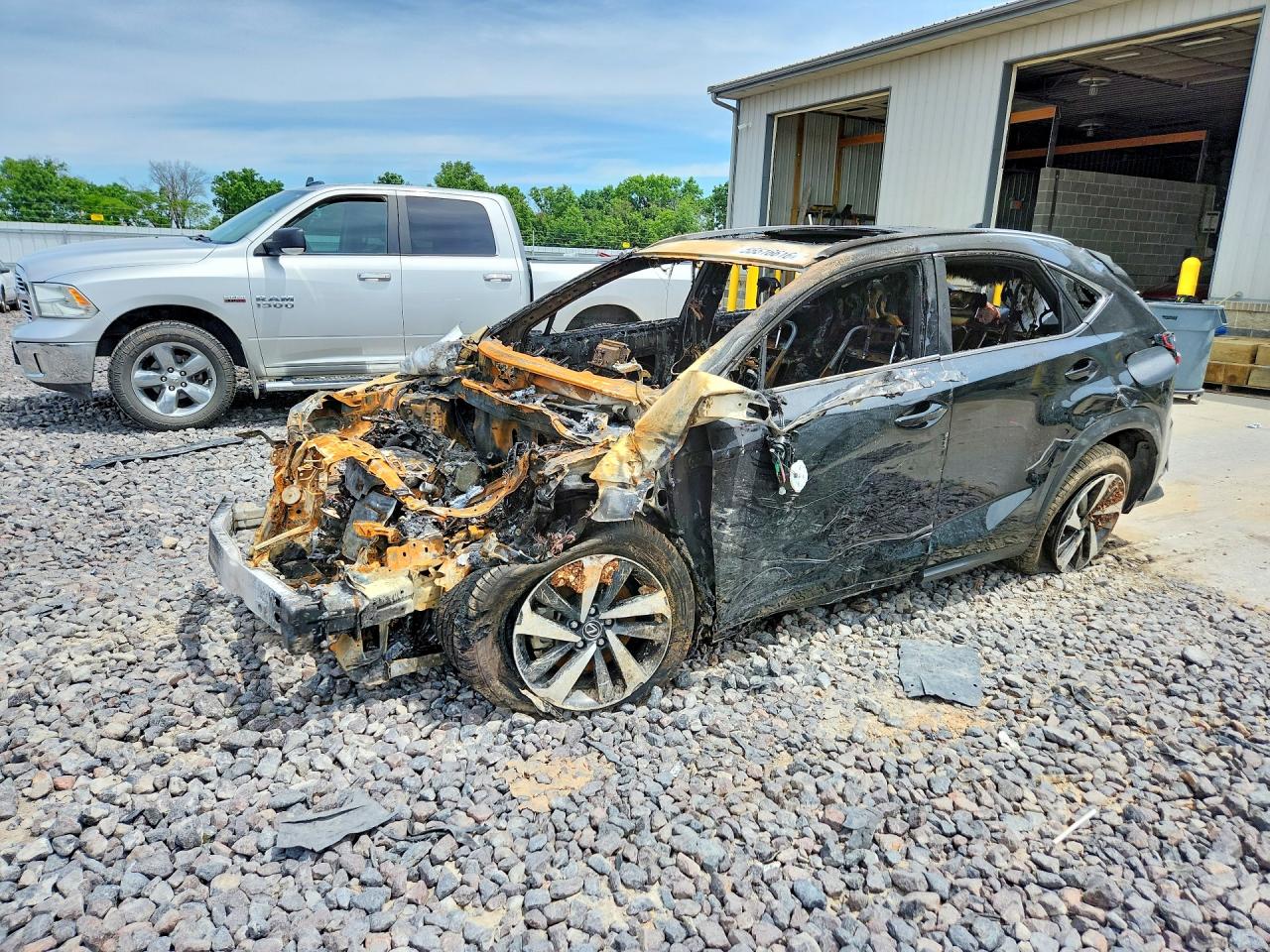 Salvage Lexus NX Image