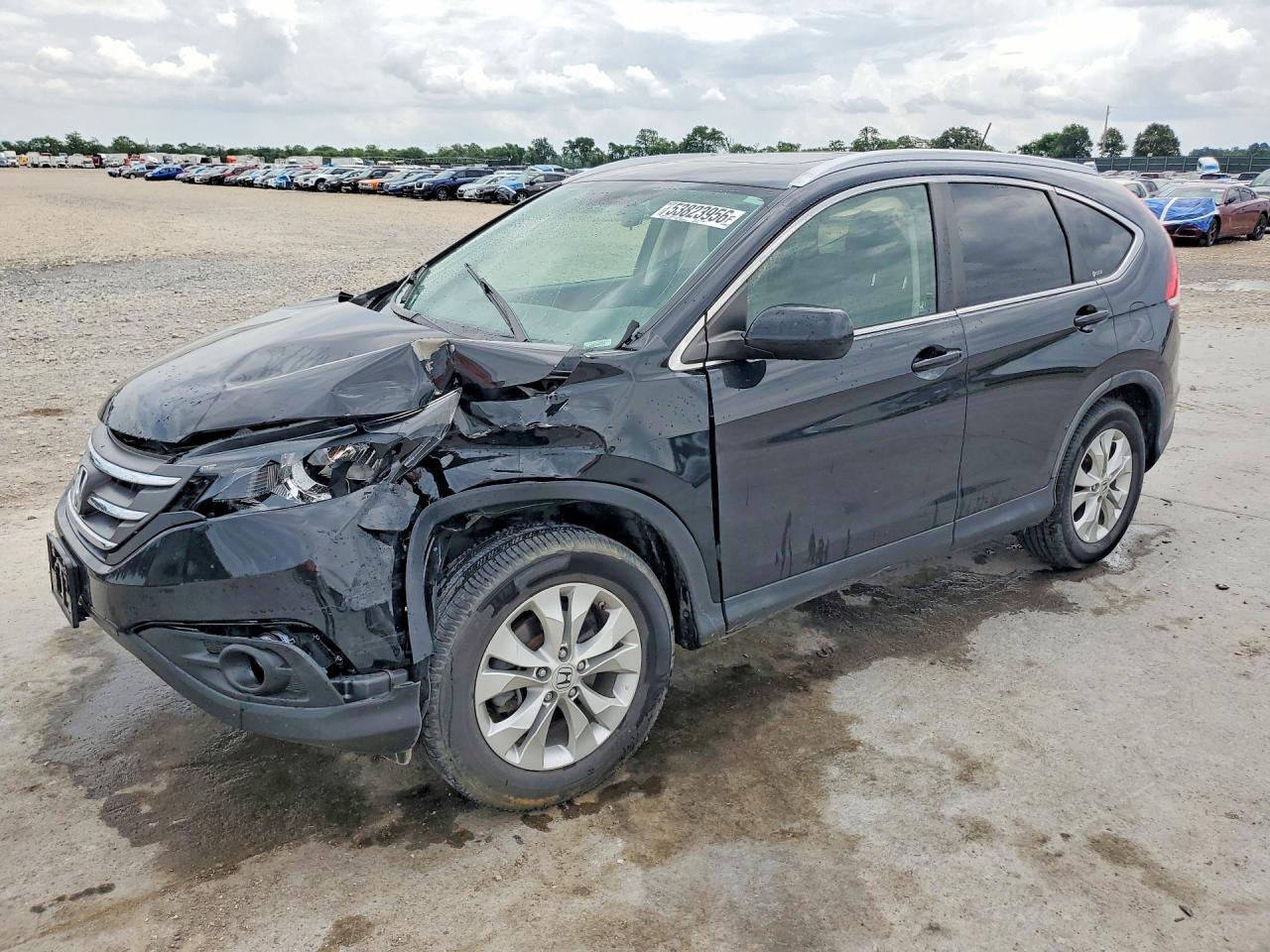 Salvage Honda Crv Image