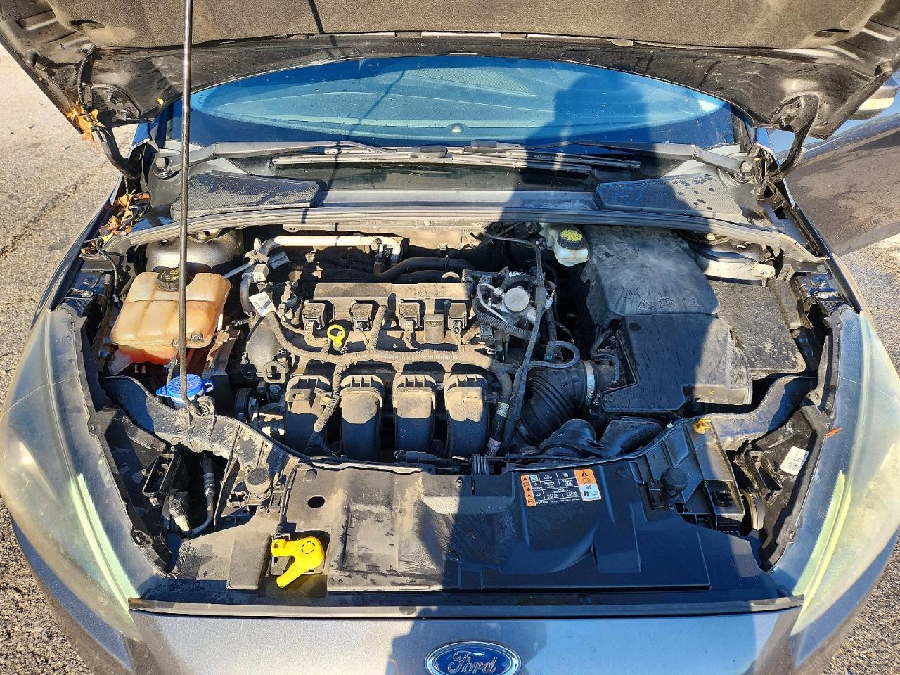 Ford Focus Sel