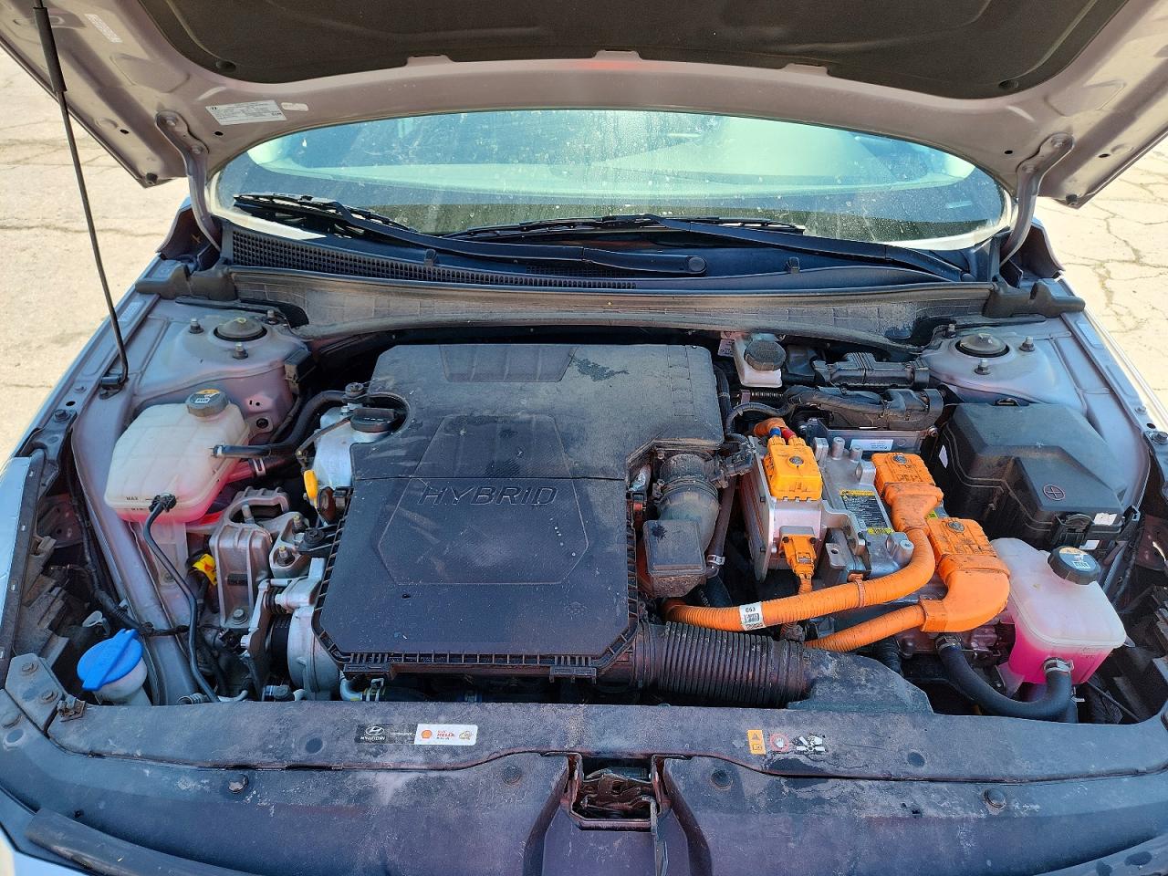 Hyundai ELANTRA Blue