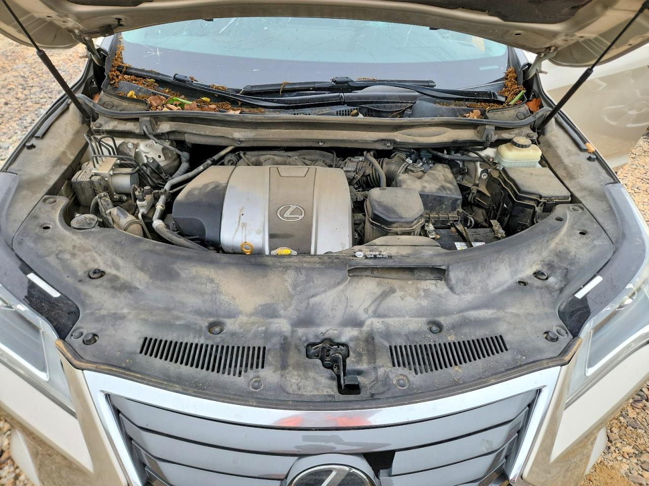 Lexus RX 350